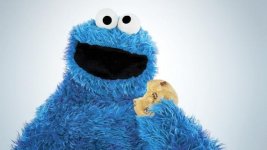 tt-cookie-monster-hed-2013_0.jpg