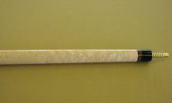 061-fore.JPG