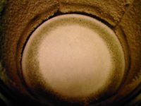 polisher3.JPG