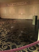 Derby Horseshoe Leak.jpg