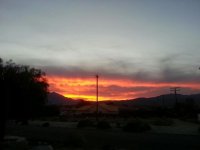 Ned Morris Sunset.jpg
