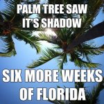 Florida.jpg