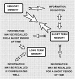 memory function sm.jpg