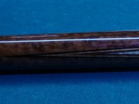 P1020048 (Small).JPG