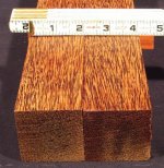 red palm (Medium).jpg