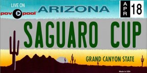 LICENSEPLATE.jpg