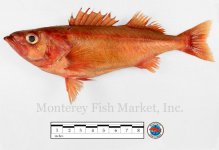 rockfish_chili.jpg