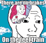 feel train.jpg