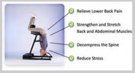 Back Revolution - 1.JPG