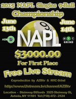 NAPL Poster.jpg NAPL Poster.jpg