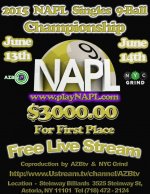 NAPL POSTER.jpg NAPL POSTER.jpg