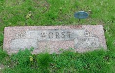 Worst 6.jpg