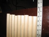 IMG_3395.jpg