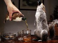 its-time-to-get-drunk-off-the-strongest-beers-in-the-world-10-photos-101.jpg