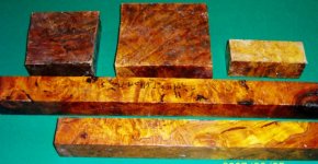 Burl 1.jpg