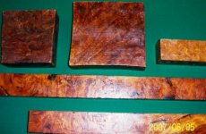 burl 2.jpg