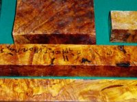 Burl 3.jpg