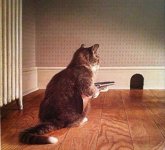 Cat with shotgun watching mouse hole.jpg