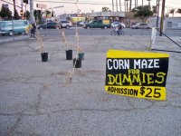 corn.jpg