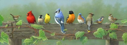 Rail Birds.jpg