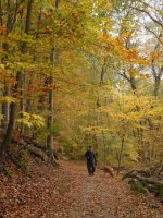 2015 Fall-1.jpg