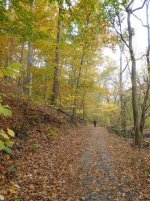 2015-Fall-5.jpg