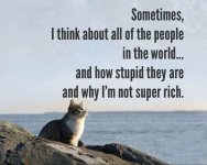 FB_IMG_1434030187070_2.jpg