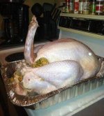 TGIVING - TURKEY.jpg