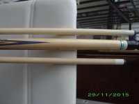 forearm 2.jpg