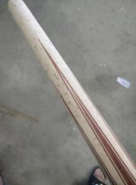 forearm.jpg