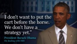 obama_noisisstrategy_cnn.jpg