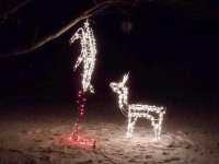 santa dear hanging.jpg