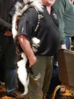 Best case ever Skunk Ain't I a Stinker.jpg