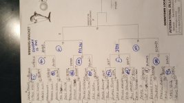 FamilyBilliards one pocket 2016.jpg FamilyBilliards one pocket 2016.jpg