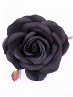 Rose%20-%20Medium%20Planter%20-%20Black.jpg