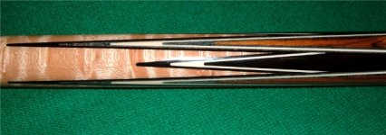 schon forearm 2.jpg