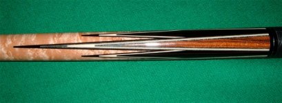 schon forearm 1.jpg