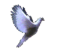 1bird3.gif