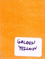 Golden yellow (2).jpg