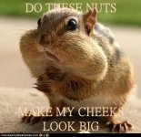 nuts.jpg
