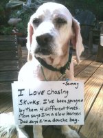 funny-animal-pictures-dumpaday-17.jpg