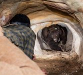 bear cave.jpg