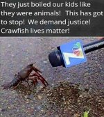 12321183_1681163908802060_2025139160475030047_n.jpg