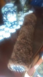 IMAG0786.jpg