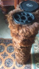 IMAG0788.jpg