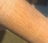 IMG_20160403_114028_01.jpg