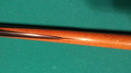 20160404_192428.jpg
