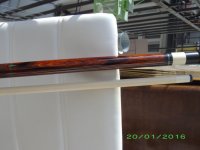 AE Orange Cocobolo forearm.jpg