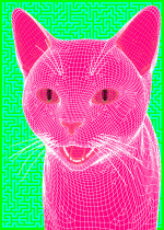 image.gif