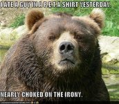 bear.jpg